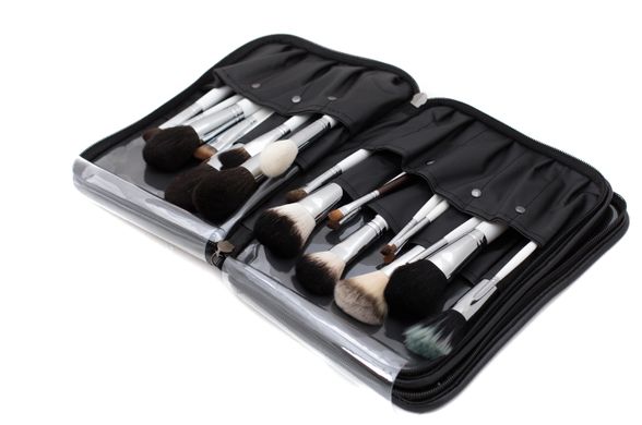 Case for brush and cosmetics