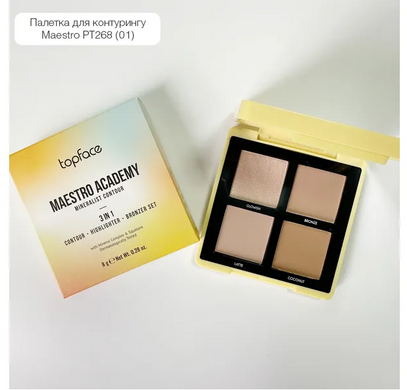 TopFace - 3 in 1 "Maestro Academy" PT268 Aesthetica [001] (8 г)