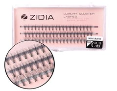 ZIDIA Eyelashes 10D C 0.10 Mix S (3 tapes, size 8, 9, 10 mm)