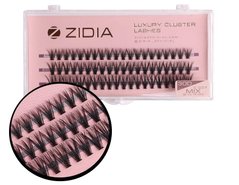 ZIDIA Cluster lashes Ресницы-пучки 30D C 0,07 MIX (3 ленты, размер 8, 10, 12 мм)