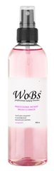 Wobs standard express brush cleaner 250ml