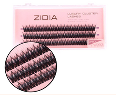 ZIDIA Cluster Lashes fish tail 24D C 0,10 (3 ленты, размер 11 мм)