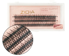 ZIDIA Cluster Lashes fish tail 12D C 0,10 (3 ленты, размер 12 мм)
