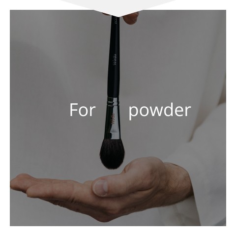 professional brush for WoBs powder