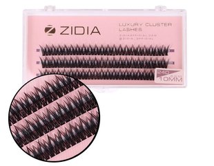 ZIDIA Cluster lashes Ресницы-пучки fish tail 24D C 0,10 (3 ленты, размер 10 мм)