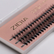 ZIDIA Cluster lashes 20D Messy C 0,10 MIX (3 ленты, размер 8, 10, 12 mm)