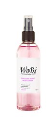 Express brush cleaner Wobs standard 100ml