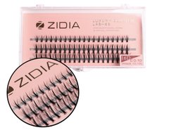ZIDIA Cluster lashes Ресницы-пучки 16D KIM C 0,10 MIX (3 ленты, размер 8, 10, 12 мм)