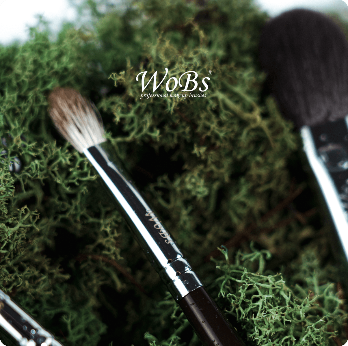 купить очиститель для макияжных кистей WOBS