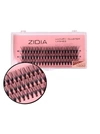 ZIDIA Cluster lashes 20D C 0,10 (3 ленты, размер 14 мм)