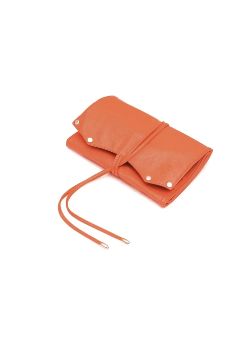 Case for 20 brush WО20