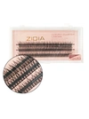 ZIDIA Cluster Lashes fish tail 12D C 0,10 (3 ленты, размер 12 мм)