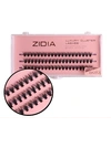 ZIDIA Cluster Lashes 30D C 0,07 (3 ленты, размер 8 мм)