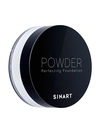 POWDER Perfection Foundation пудра для лица