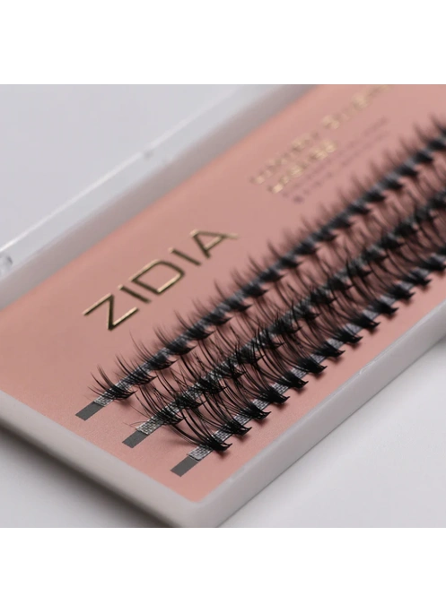 ZIDIA Cluster lashes 20D Messy C 0,10 MIX (3 ленты, размер 8, 10, 12 mm)
