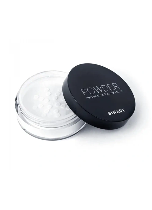 POWDER Perfection Foundation пудра для лица