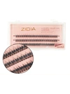 ZIDIA Cluster Lashes fish tail 12D C 0,10 (3 ленты, размер 8 мм)