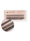 ZIDIA Cluster lashes fish tail Ресницы-пучки рыбий хвост 12D C 0,10 Mix (3 ленты, размер 8, 10, 12 мм)