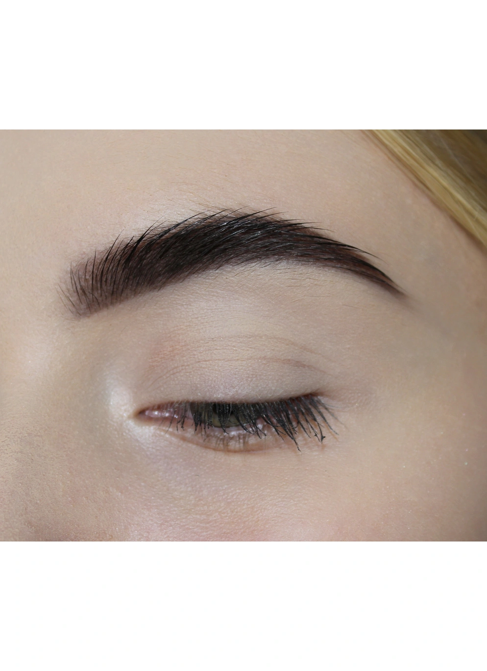 Пудра для брів B22 Dark brown