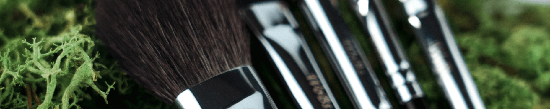 профессиональные косточки для макияжа