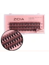 ZIDIA Cluster Lashes 30D C 0,07 (3 ленты, размер 12 мм)