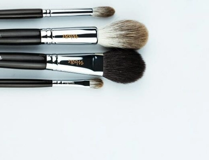 Набор кисточек для макияжа Вобс